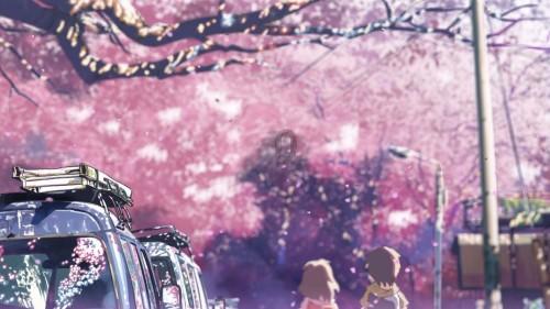 神秘的岛屿