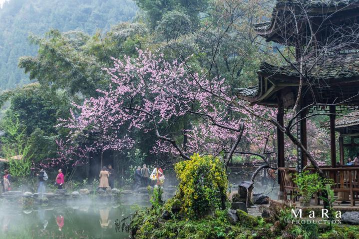 钻石记忆挑战