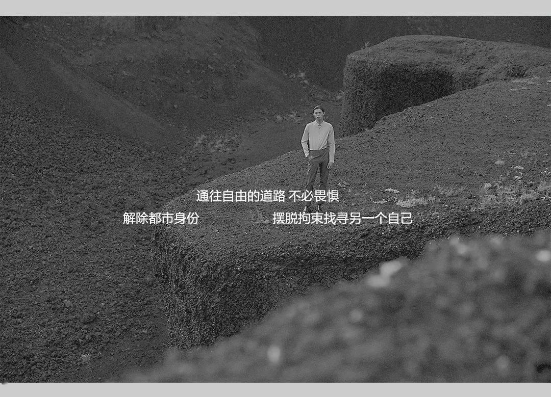 大白猫逃脱
